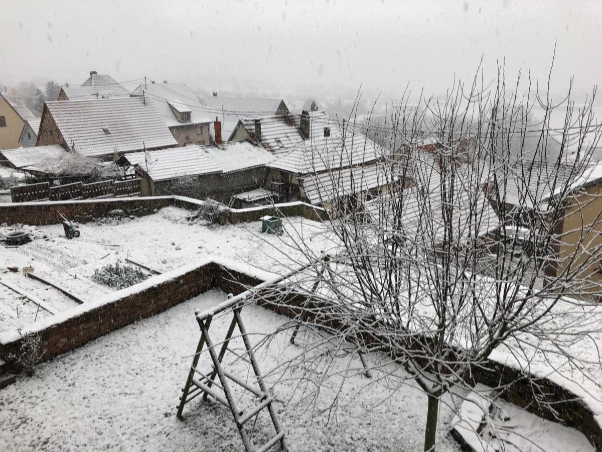Gite L'Instant Durable Oberbronn المظهر الخارجي الصورة